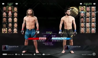 Лучшие борцы в UFC